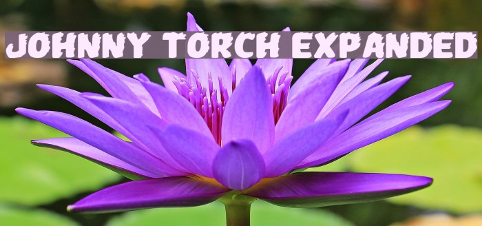 Johnny Torch Expanded Font examples