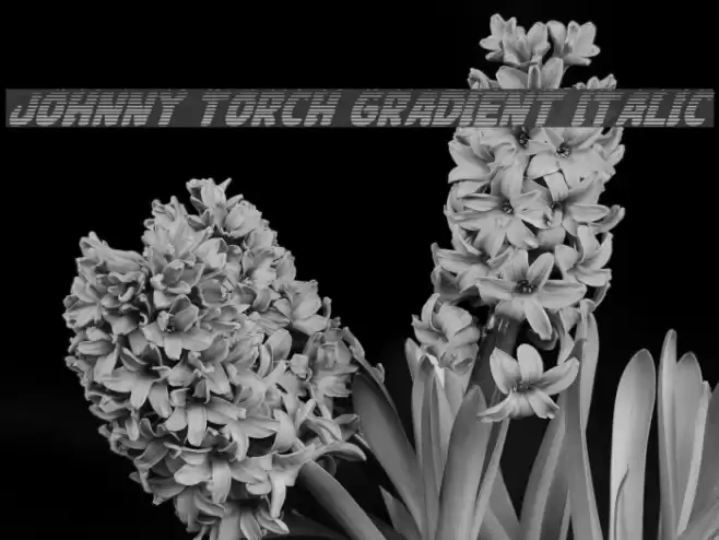 Johnny Torch Gradient Italic Font examples