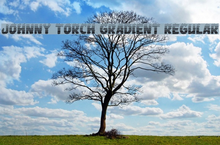 Johnny Torch Gradient Regular Example 1