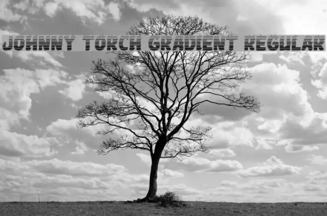 Johnny Torch Gradient Regular Font examples