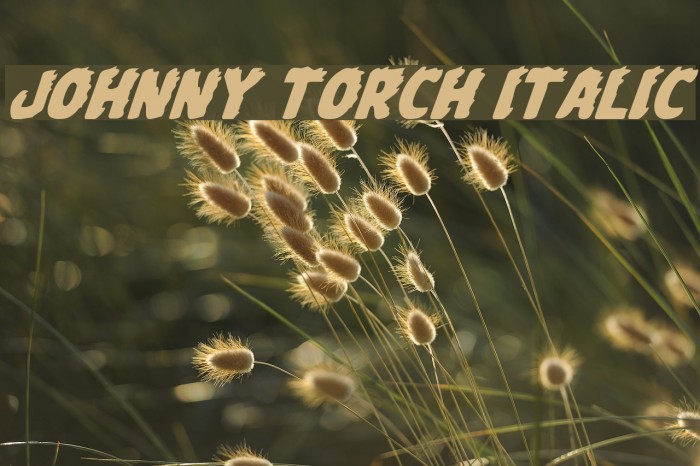 Johnny Torch Italic Font examples