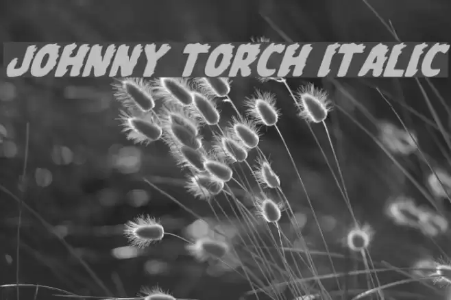 Johnny Torch Italic  examples