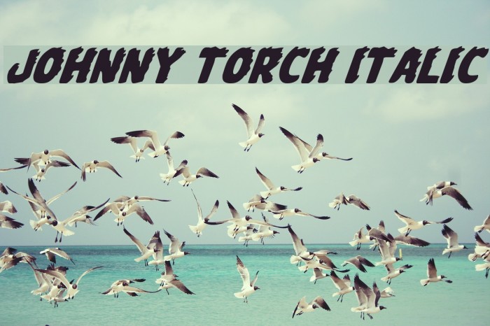 Johnny Torch Italic Font examples