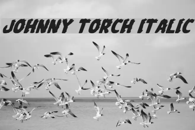 Johnny Torch Italic  examples