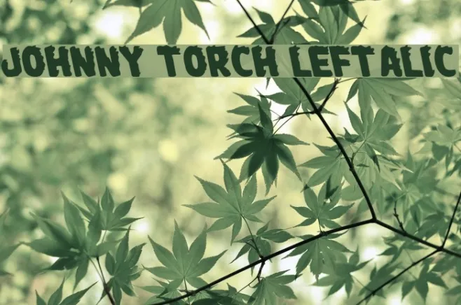 Johnny Torch Leftalic Example 1