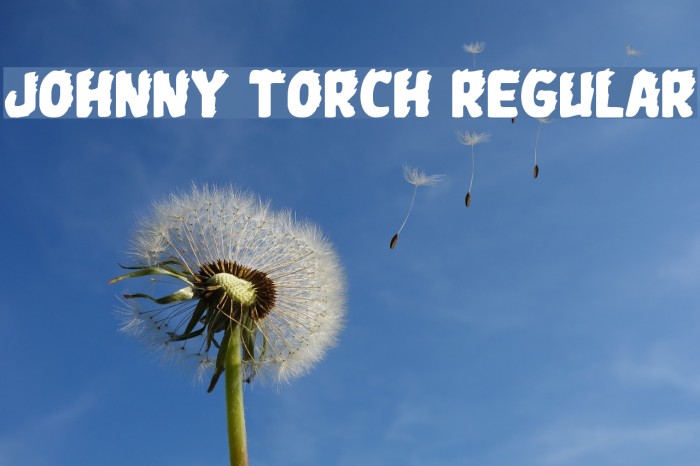 Johnny Torch Regular Font examples