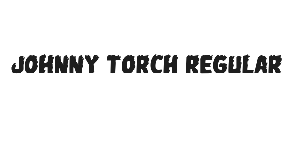 Johnny Torch Regular Logo