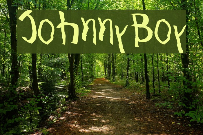 JohnnyBoy Font examples