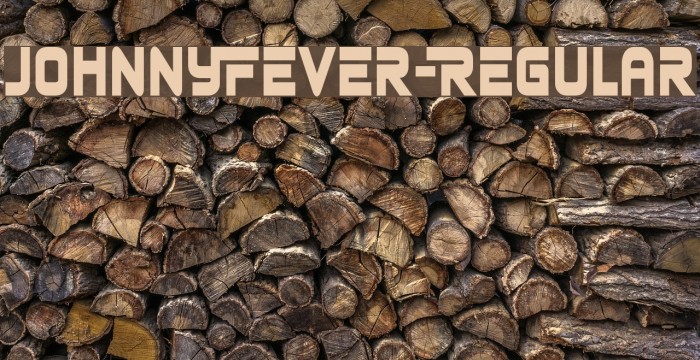 JohnnyFever-Regular Example 2
