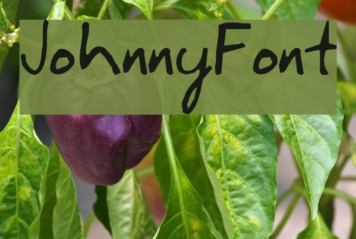 JohnnyFont Font examples