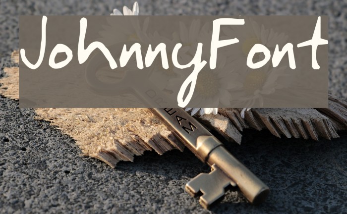 JohnnyFont Font examples