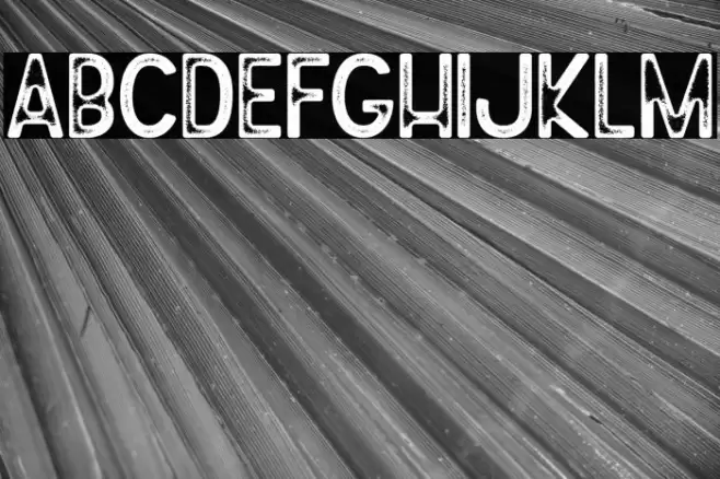 Johny Palkons Stamp Font examples