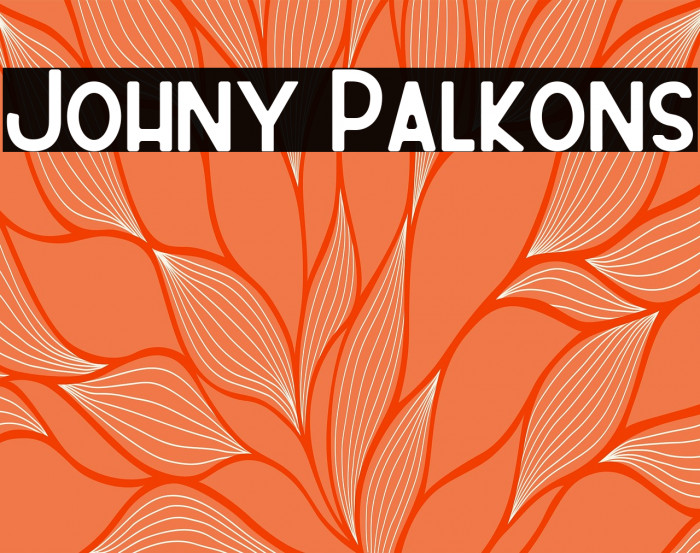 Johny Palkons Example 1
