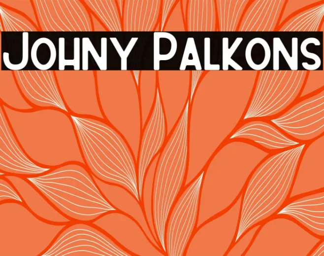 Johny Palkons Example 1
