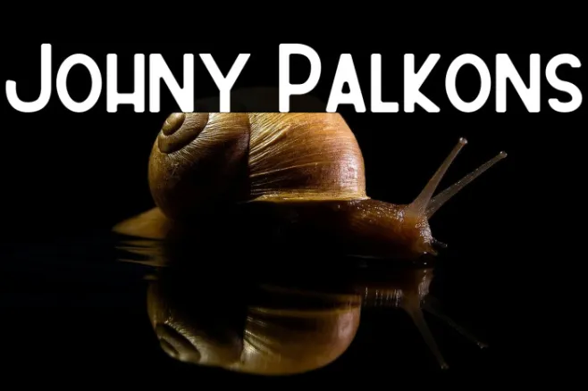 Johny Palkons Example 2
