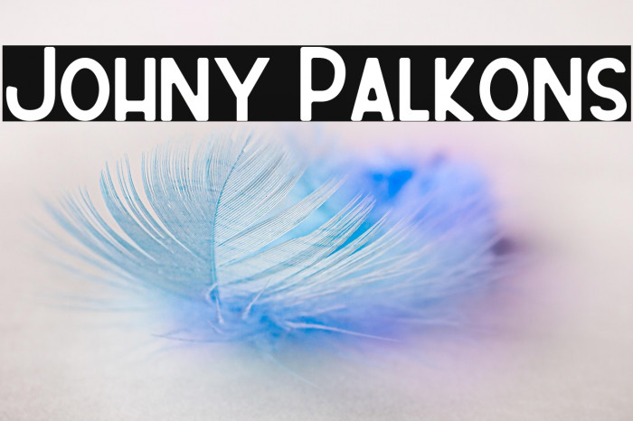Johny Palkons Example 3