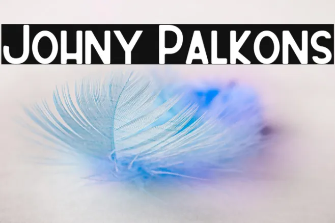 Johny Palkons Example 3