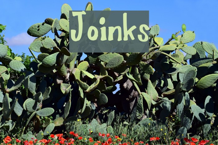 Joinks Font examples