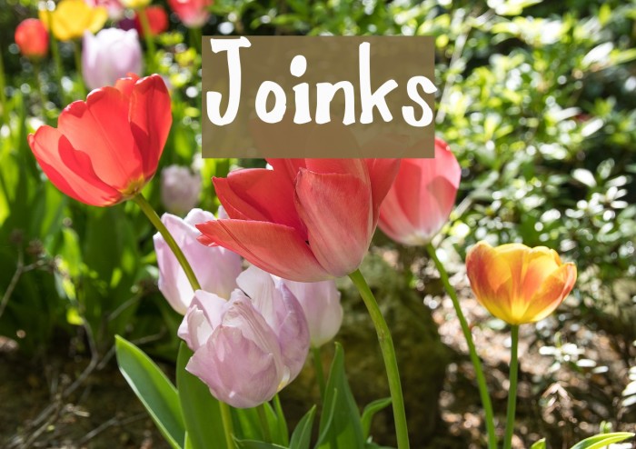 Joinks Font examples