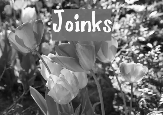 Joinks Schriftart examples