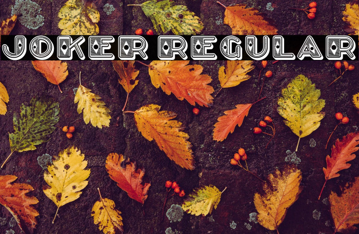 Joker Regular Example 2