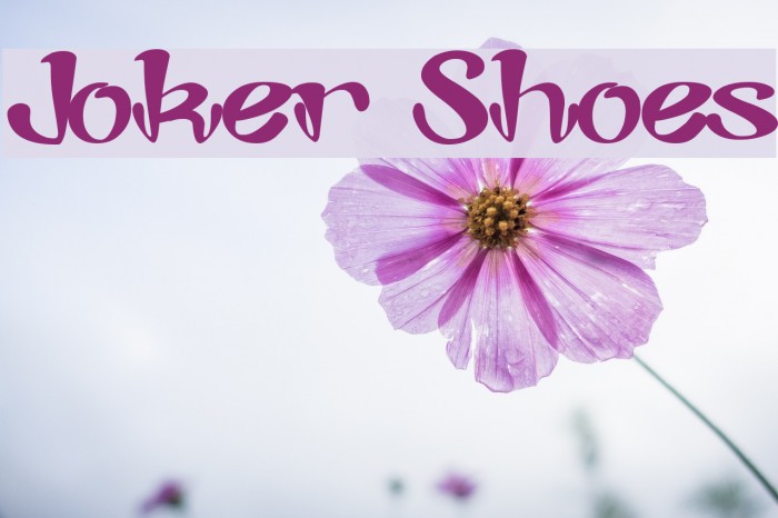 Joker Shoes Example 2