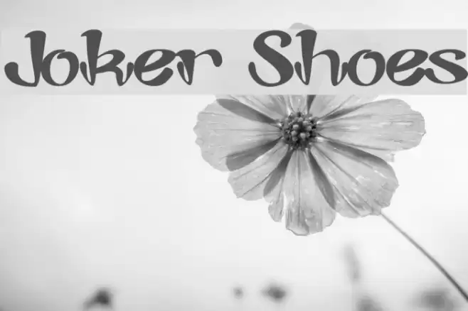 Joker Shoes Font examples
