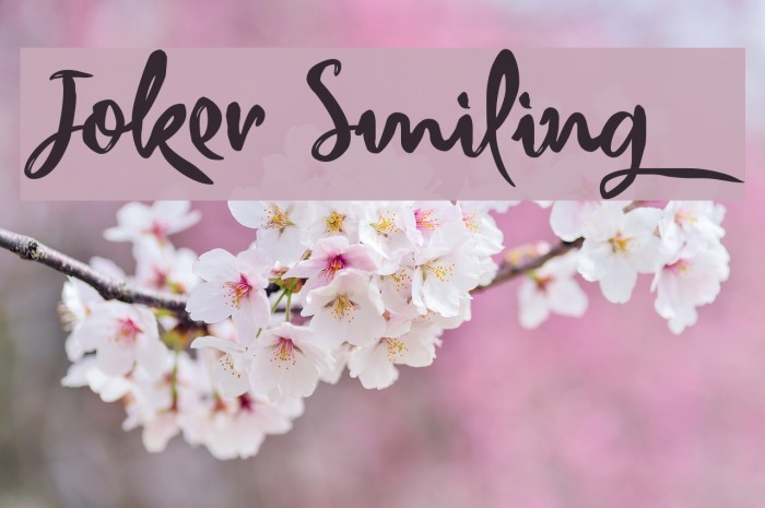 Joker Smiling Example 1