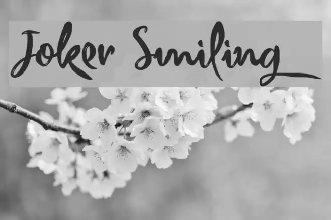 Joker Smiling Font examples