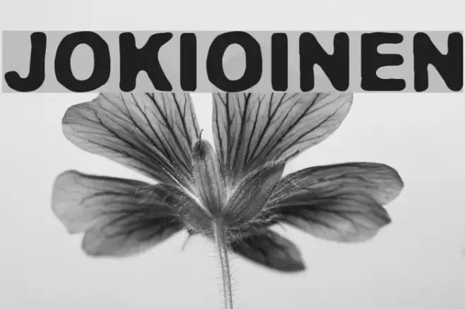 Jokioinen फ़ॉन्ट examples