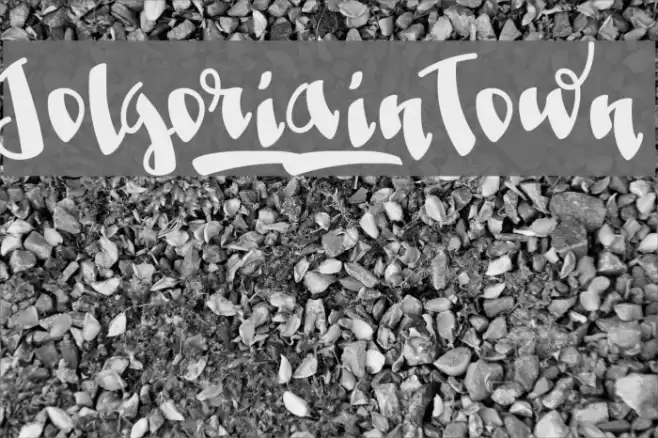 Jolgoria_in_Town Font examples