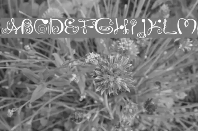 JoliScript Шрифта examples