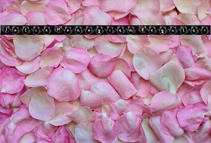 Jolie Monogram Regular Example 1