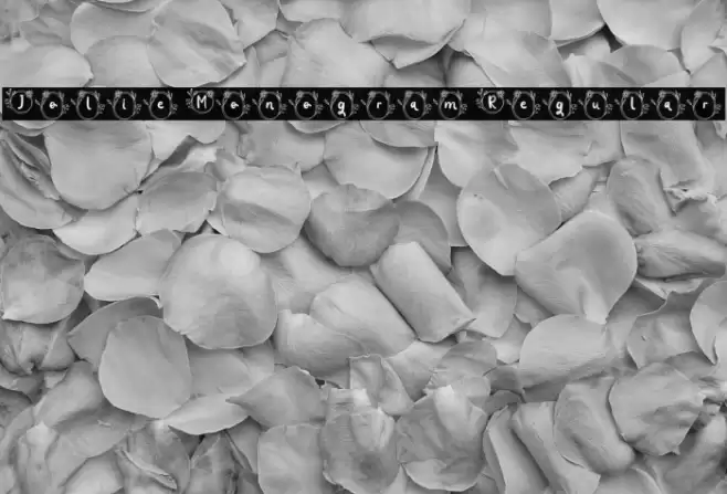 Jolie Monogram Regular Font examples