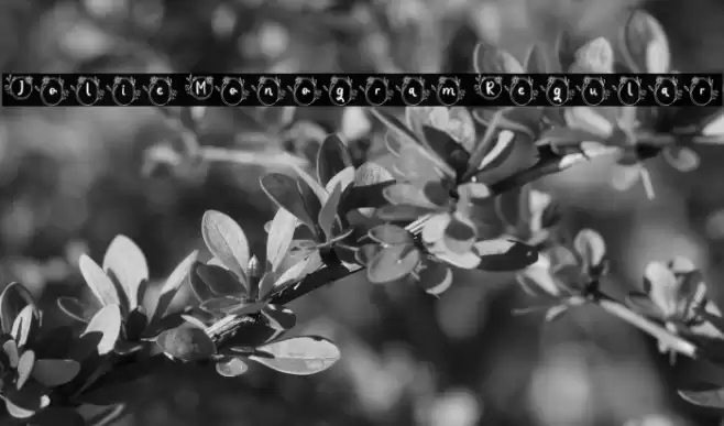 Jolie Monogram Regular Font examples