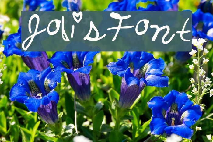 JolisFont Font examples
