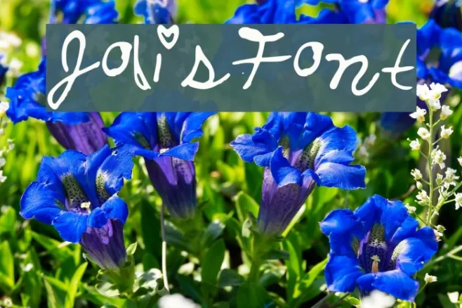 JolisFont Example 1