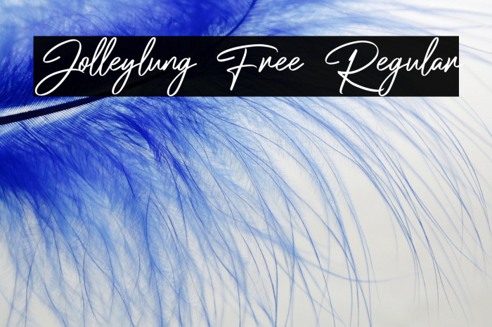 Jolleylung Free Regular Example 1