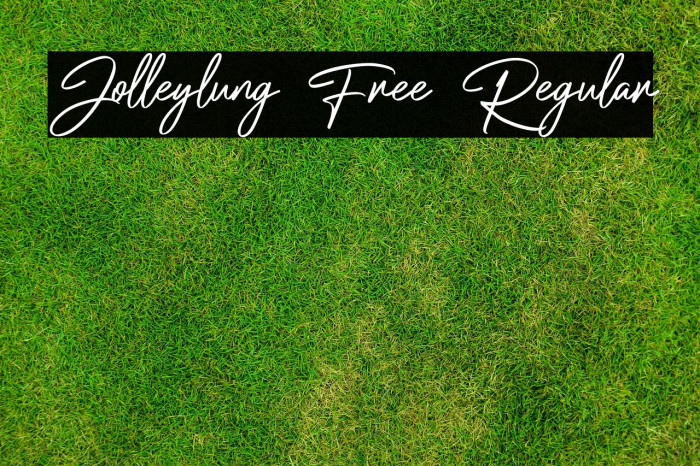 Jolleylung Free Regular Example 2