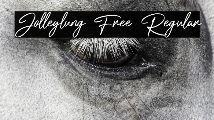 Jolleylung Free Regular Example 3