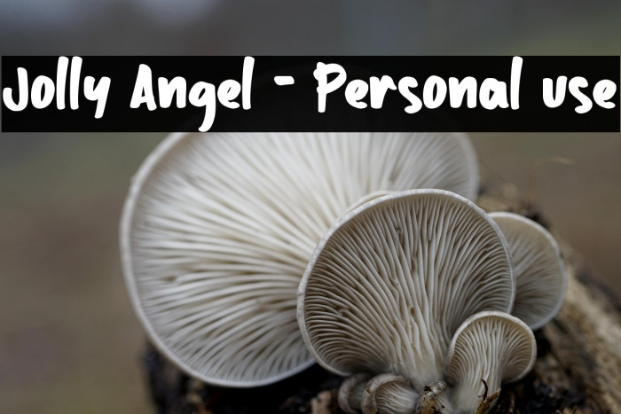 Jolly Angel - Personal use Example 3