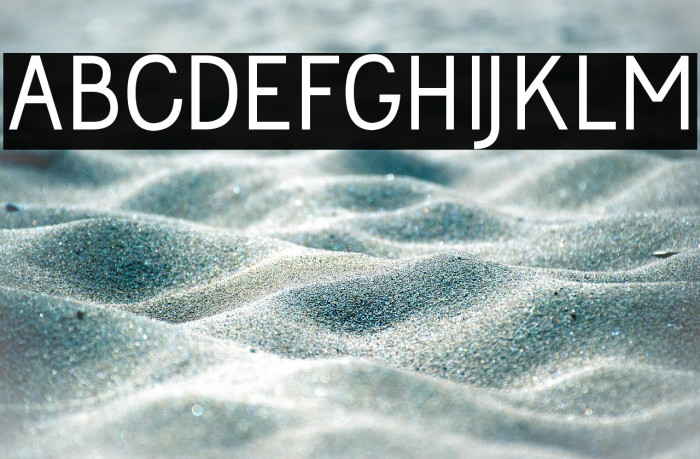 Jolly Bold Example 1