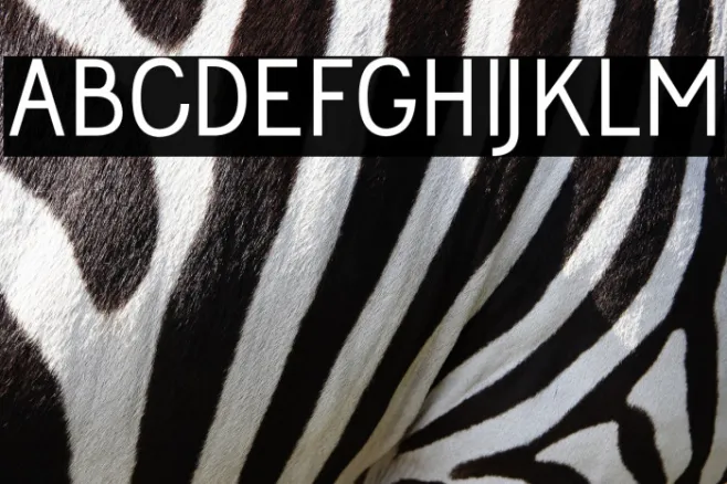 Jolly Bold Example 2