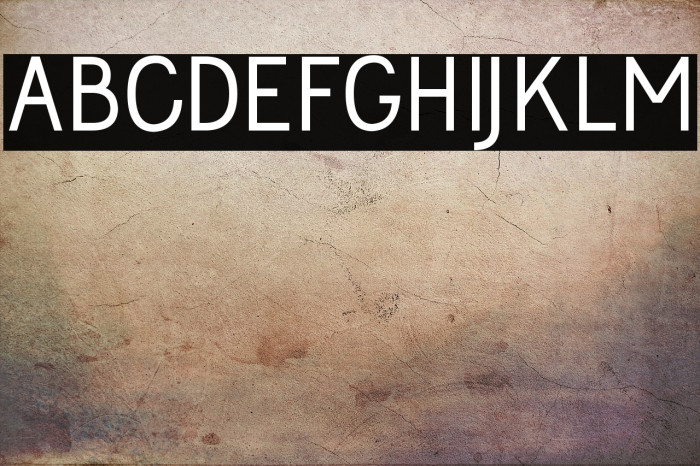 Jolly Bold Example 3