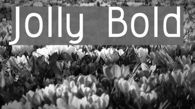 Jolly Bold Font examples