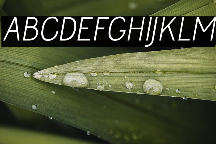 Jolly Italic Example 2