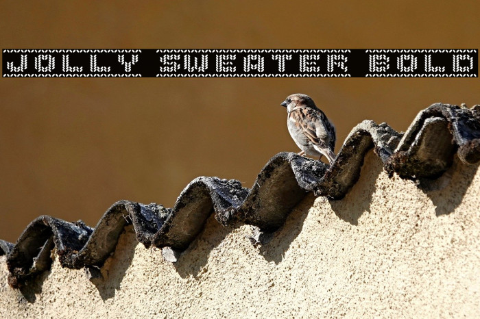 Jolly Sweater Bold Example 2