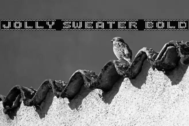 Jolly Sweater Bold خط examples