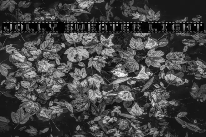 Jolly Sweater Light Font examples