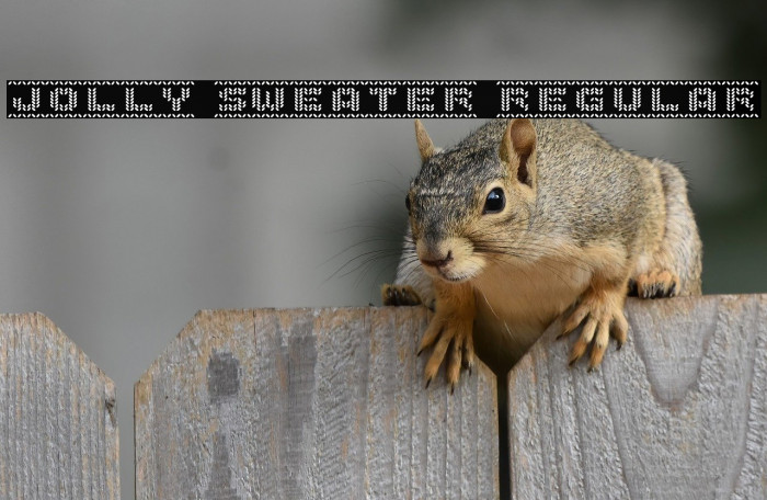 Jolly Sweater Regular Example 2